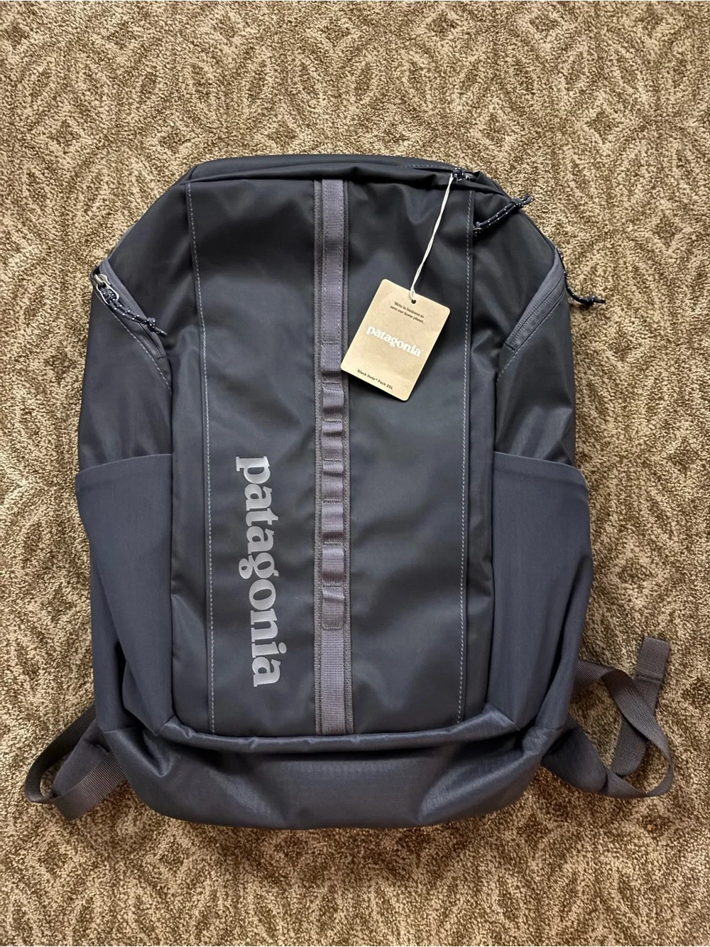 Patagonia Black hole pack 25L